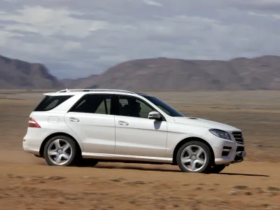 ML 250